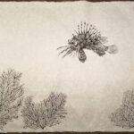 "Lionfish and SeaFans", Courtesy: Dwight Hwang, Gyotaku Artist, S. Korea, USA