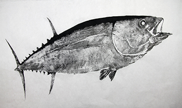 "Foreshortened Tuna" by Dwight Hwang, Gyotaku Artist, S. Korea, CA, USA