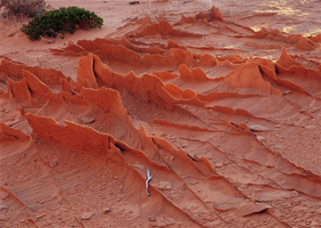 "Dragonbacks" by Frank Sirona, Large Format Film Photographer, USA