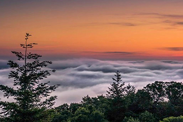 "Mt. Tam 3-72" by Tom Remus, Outdoor Photographer, Bay Area, CA, USA