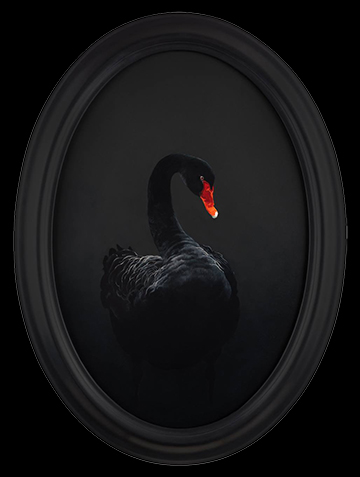 "The Black Bird" by Barbara Hangan, Painter, Artist, Romania