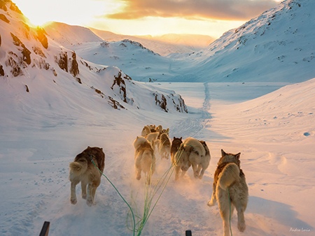 Dog-sledding trip in Greenland by Andro Loria, Outdoor Photographer, England
