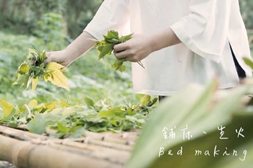 Healing Bed in Forest by Anne Wu, Biologist, Entrepreneur, Taiwan