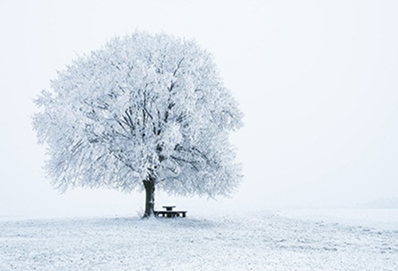 Winter Scene by Heiko Gerlicher, Outdoor Photographer, Germany