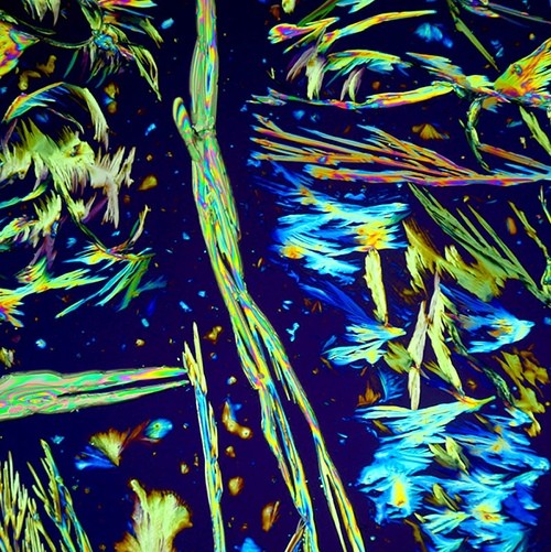 Glycine crystals under polarized light, using a modified vintage microscope and DSLR. (magnification 100x) by Robert Marku, Biologist, Micrographist, UK