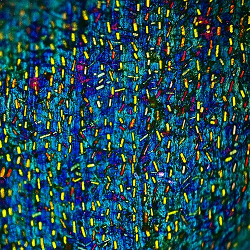 Onion skin under polarized light, analog film photography using a modified vintage microscope, and an SLR from the 1980s by Robert Marku, Biologist, Micrographist, UK