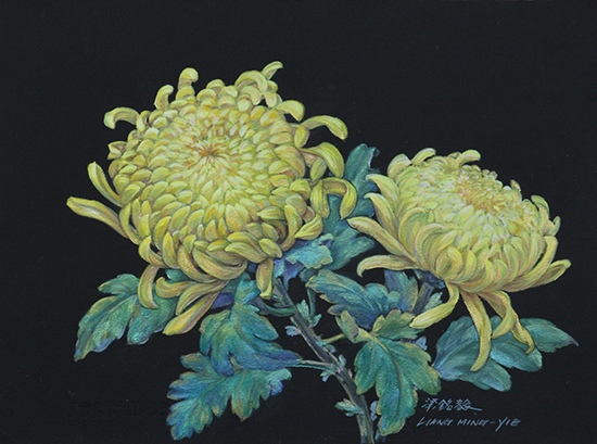 Chrysanthemum by Ming-Yi Liang, Artist, Taiwan