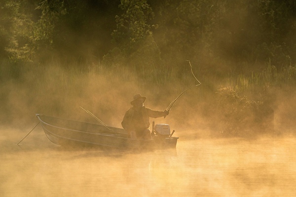 "Sunrise Cast" by Steve Jessmore, photojournalist, wildlife photographer, Michigan, USA