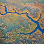 Dutton Island Preserve, Florida by Tom , Photographer, Florida, USA