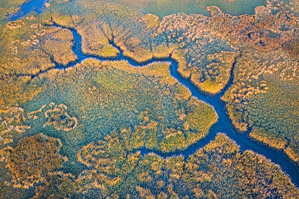 Dutton Island Preserve, Florida by Tom , Photographer, Florida, USA