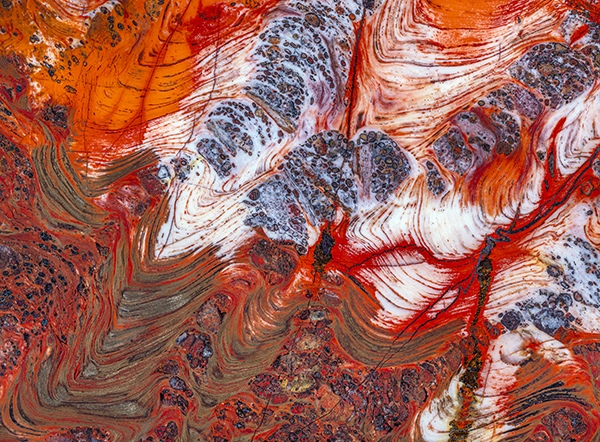 Stromatolite by Norm Barker, Photographer, Micrographist, Professor at Johns Hopkins University, USA