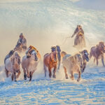 Galloping horses in Wulan Butong, Inner Mongolia by Robin Hsu, Administrator, Taiwan, China