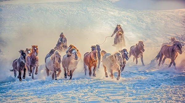 Galloping horses in Wulan Butong, Inner Mongolia by Robin Hsu, Administrator, Taiwan, China