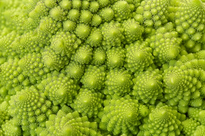 Textured Green Fresh Romanesque Cauliflower