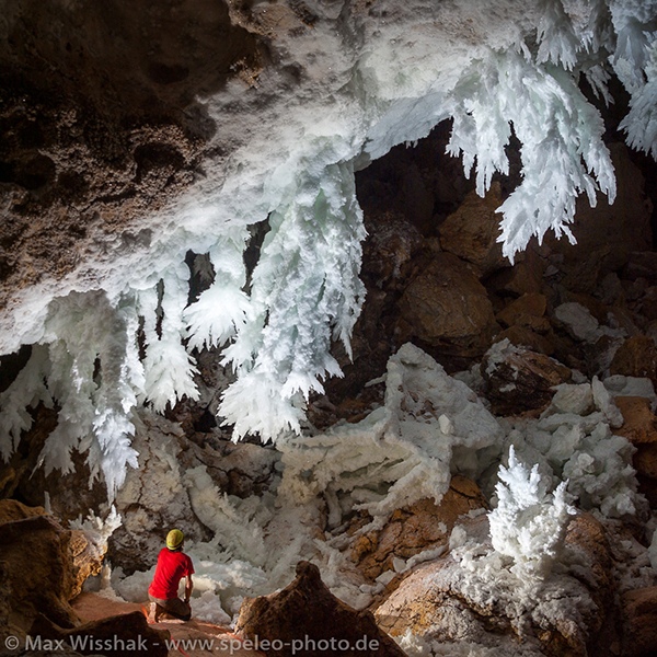 The iconic gypsum crystal ‘chandeliers’ of Lechuguilla Cave, New Mexico, USAby Max Wisshak