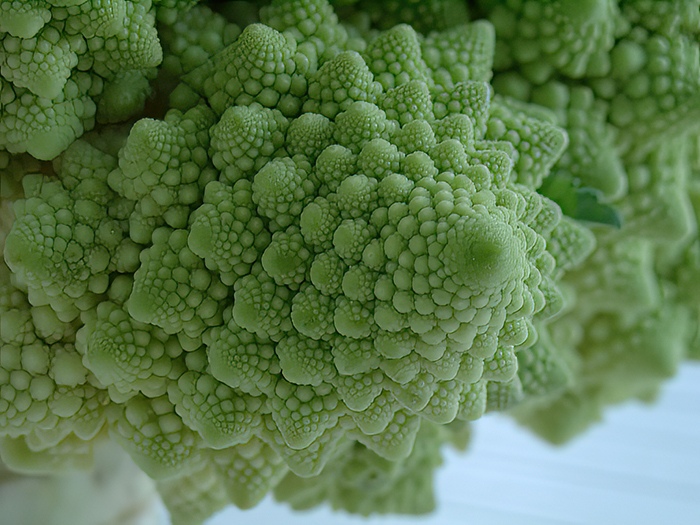 Romanesco broccoli by Dr. Etienne Farcot, Math Professor at University of Nottingham in the UK
