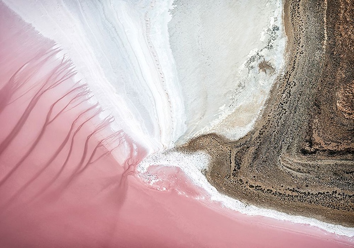 “Kati Thanda - Taking Flight”. Aerial photograph of a pink algae bloom in the salt lakes of Kati Thanda – Lake Eyre in South Australia by Mieke Boynton, Aerial/Landscape Photographer, Australia