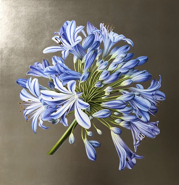 Agapanthus XL Palladium 31 x 27”, Hand applied palladium leaf over archival inks and watercolor by Ingrid Elias, Botanic Artist, the Netherlands