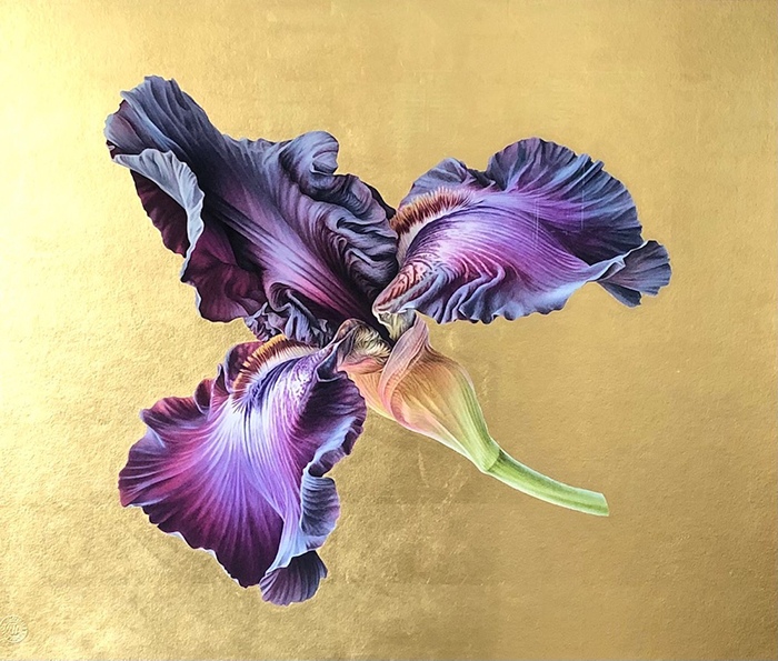 Iris Germanica ‘Baltic Star’ XL Gold 33 x 27” Hand applied 23,75 karat gold leaf over archival inks and watercolor by Ingrid Elias, Botanic Artist, the Netherlands