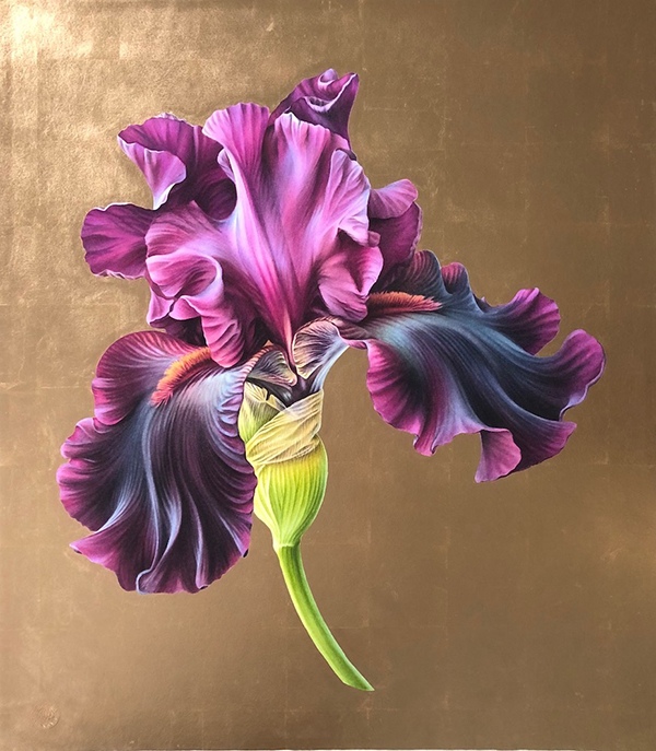 Iris Germanica ‘Premier Cru’ XL Rose Gold 27 x 31” Hand applied 22 karat rose gold leaf over archival inks and watercolor by Ingrid Elias, Botanic Artist, the Netherlands