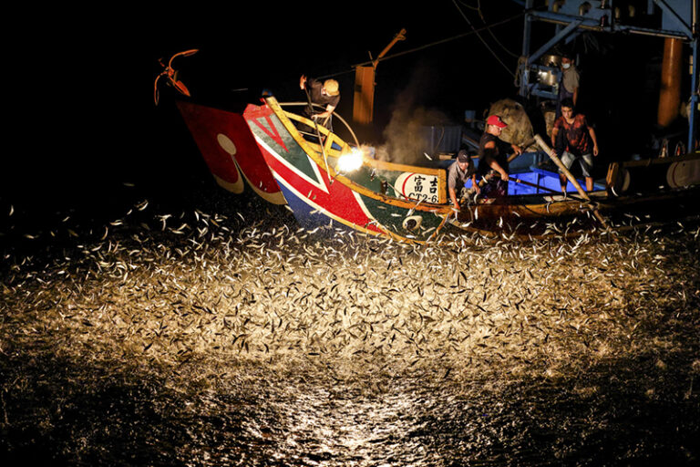 Fishermen, Taiwan by Shirley Wung, Outdoor photographer, Taiwan