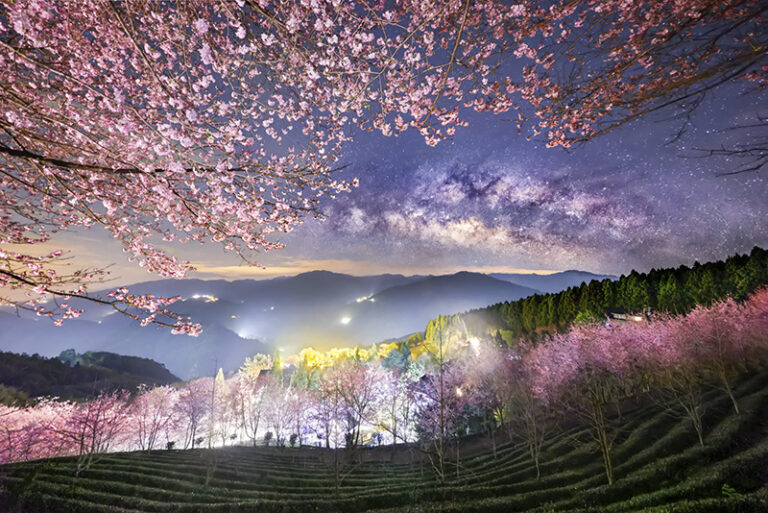 Tea Garden, Milky Way, Taiwan by Shirley Wung, Outdoor photographer, Taiwan