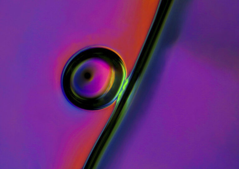 Shape of color, Sisyphean Task, Polyvinyl alcohol by Malgorzata Lisowska, Health Care, Microscopy, Photographer, Portland