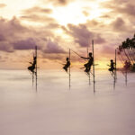 Traditional stilt fishermen try their luck with the changing tide at sunset in Koggala, Sri Lanka. It showcases the water movement in contrast to the stillness of the fishermen. Traditional, artisanal fishing methods like these, used for subsistence do not pose significant threats to the ocean’s natural resources. On the contrary, these make local communities stakeholders to the ocean’s health.