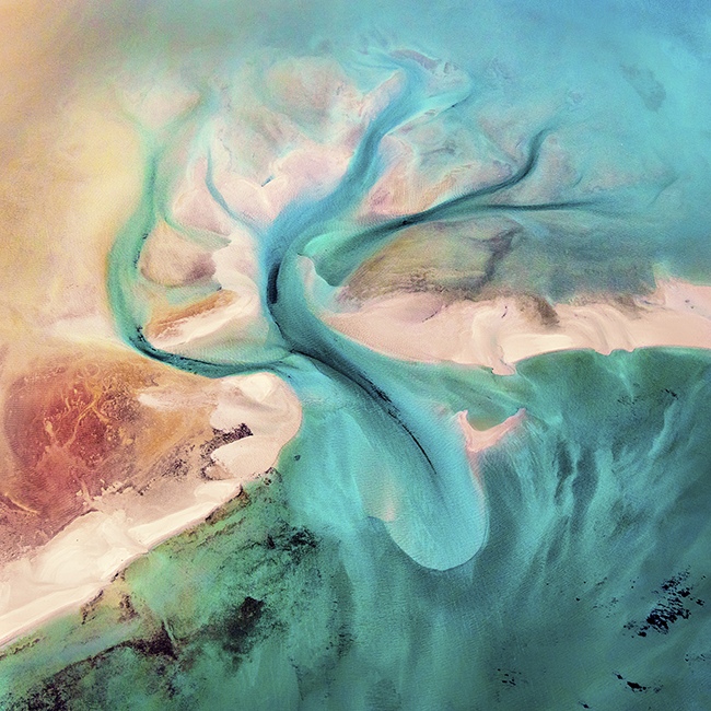 Deep Dive - Taken in Shark Bay, Western Australia, out of a Cessna with the doors open., Image credit: Nilmini De Silva