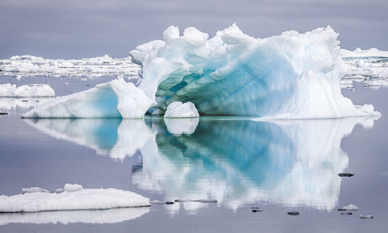 Looking Within - Taken in 2010 in Antarctica, while on my Gap Year. One of my early images., Image credit: Nilmini De Silva