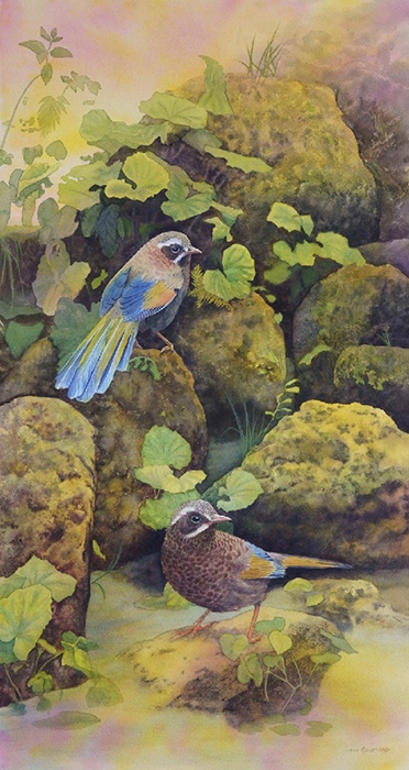 2022 Fomosan Laughing Thrush, 54x105cm by Kuo, Hsin-i, Painter, Artist, Taiwan