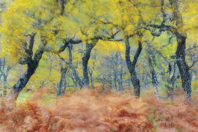 WIND, Atlantic Autumn by Fortunato Gatto, Photographer, Italy, UK