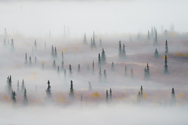 ALASKA, Into the Mystery by Fortunato Gatto, Photographer, Italy, UK