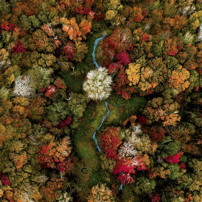 Vibrant Speckled Way by Joanna L Steidle, Drone photographer, USA