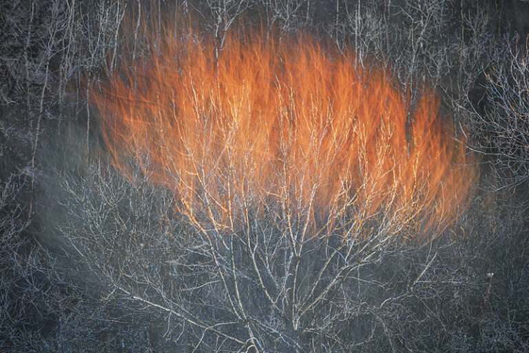 Flames by Fortunato Gatto, Photographer, Italy, UK