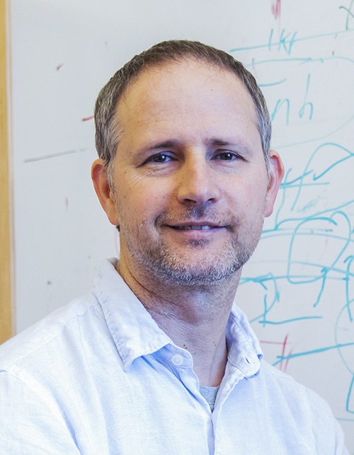 Nadav Ahituv, PhD., Professor in the Department of Bioengineering and Therapeutic Sciences and Director of The Institute for Human Genetics at UCSF, whose work focuses on "finding switches to regulate, or turn on and off genes," is receiving a grant from the National Cancer Institute (NIH) to further develop this fat cell therapy for cancer.