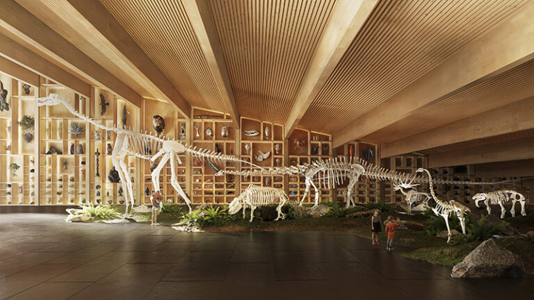 Evolution of the species in the museum will be showcased within interiors lined with exposed timber, as depicted in this architectural rendering by Bjarke Ingels Group
