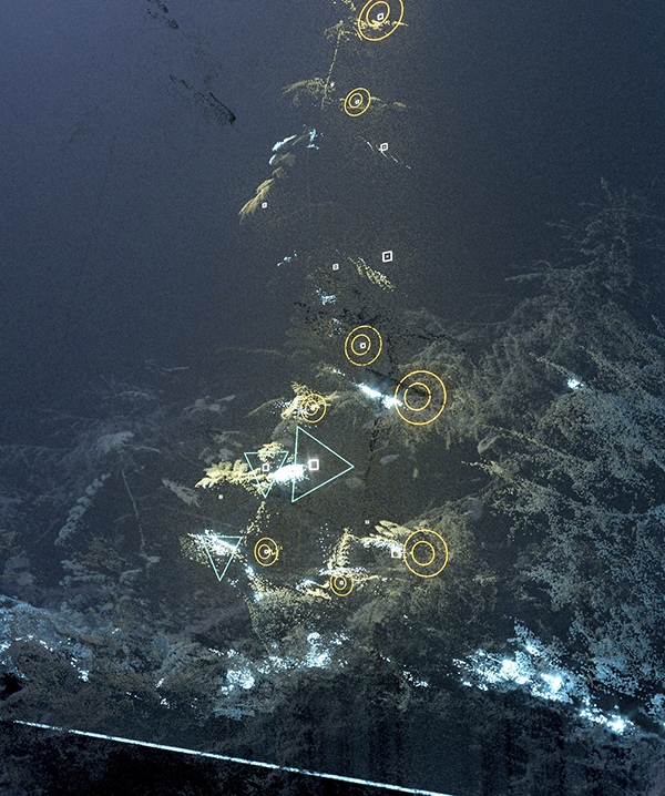 Lidar by Dan Hoopert, 3D Artist, UK
