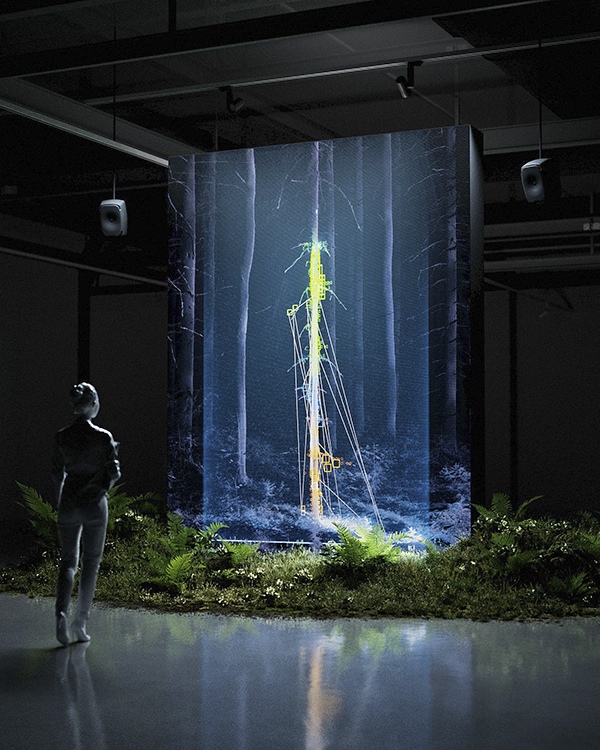 Through The Forest II Gallery Views by Dan Hoopert, 3D Artist, UK