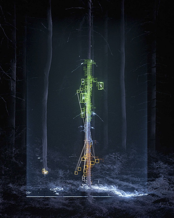 Through The Forest II HQ Vertical Original Colour Glow by Dan Hoopert, 3D Artist, UK