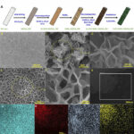 Schematic diagram illustrating the step-by-step mechanism of hydrogen extraction from seawater using the novel electrolytic device. Source: Small (2025).