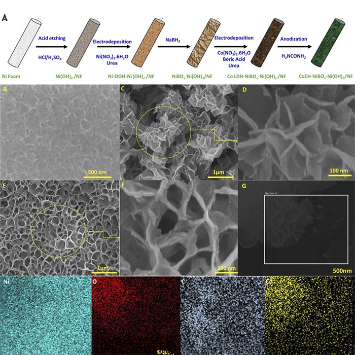 Schematic diagram illustrating the step-by-step mechanism of hydrogen extraction from seawater using the novel electrolytic device. Source: Small (2025).