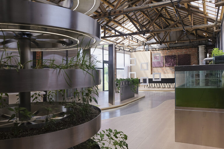 The Floating Seeds Project: Partially translucent roof providing suitable lighting for experimental crops