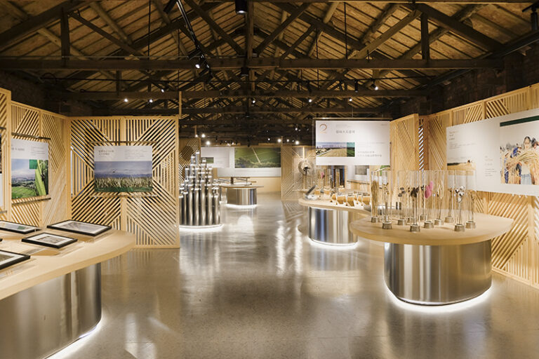 The Floating Seeds Project: Preserved triangular wooden roof structure