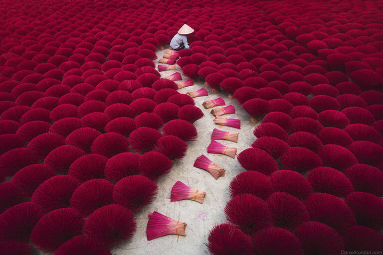 A worker in traditional Vietnamese conical hat tends to vibrant crimson incense sticks drying in the sun