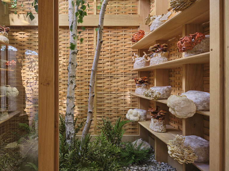 Studio Weave's Intelligent Garden pavilion features a dedicated "mycelium parlour" space, Chelsea Flower Show 2025. Designed by Studio Weave in collaboration with Tom Massey and Je Ahn