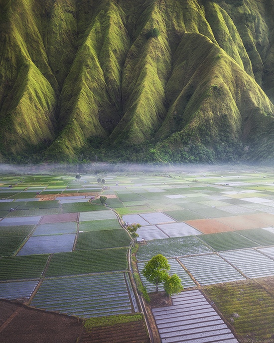 The dramatic volcanic peaks of Sembalun valley rise across Lombok island, Indonesia.