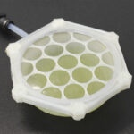 Prototype by Dr. Robin Wordsworth