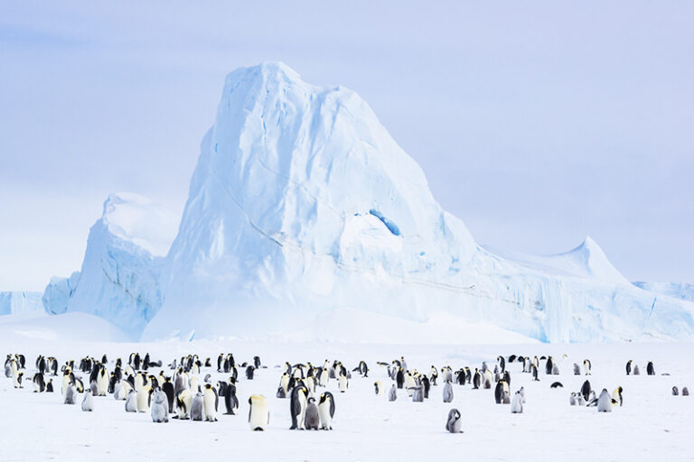 The Sentinel by Stefan Christmann