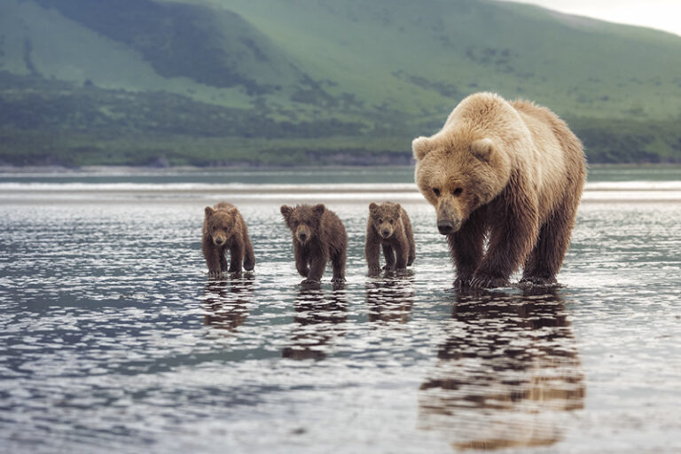 Love Reflected in Still Waters by Tibaldi Brittany